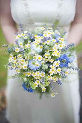 b38d29136f006f213265e5198526f23f--daisies-bouquet-blue-bouquet.jpg